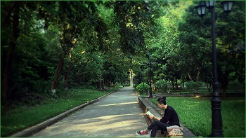 Understanding Your Introverted Struggles: Embrace Your True Self 