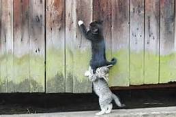 help to reduce sress