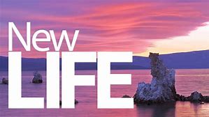 New Year Changes And How Will You?