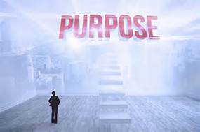 how to find life purpose