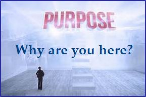 Values And How To Use Yours For Living Happier